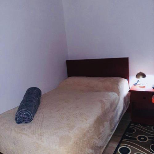 Hostal 7 Colores Hotel Murillo  Luaran gambar